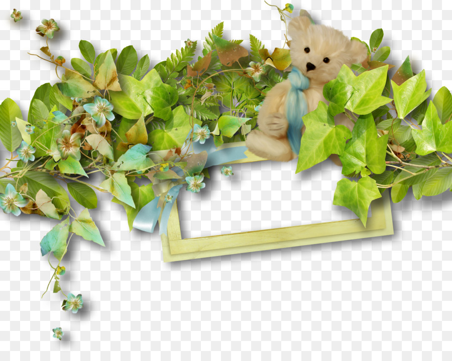 Ours En Peluche，Feuilles PNG