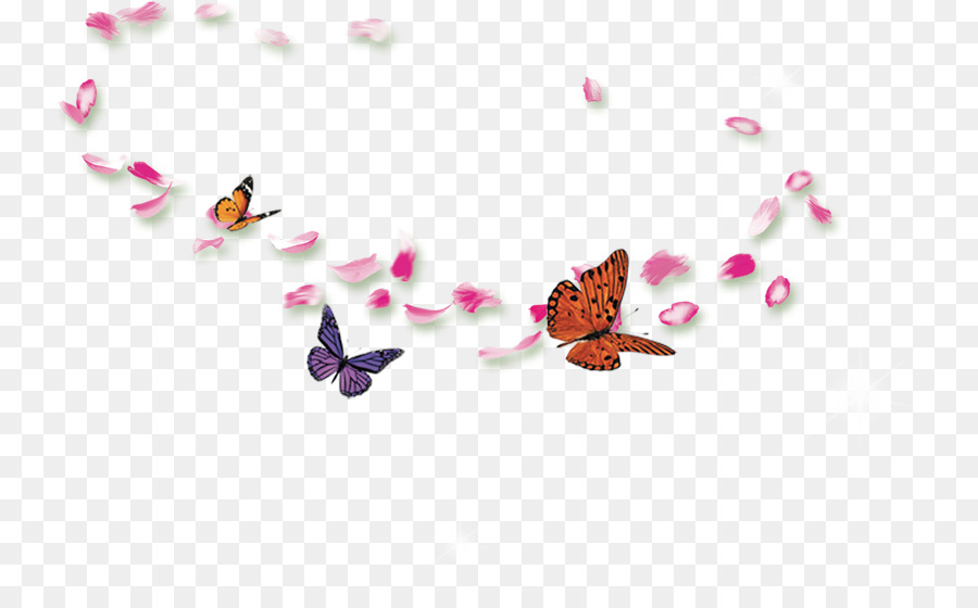 Papillons Et Pétales，Insecte PNG