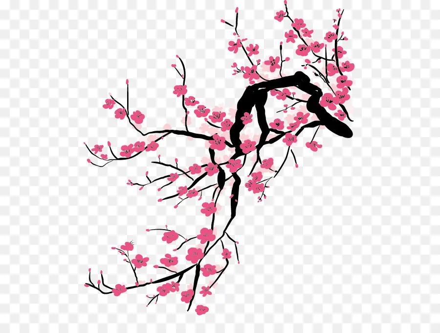 La Chine，Fleur De Cerisier PNG