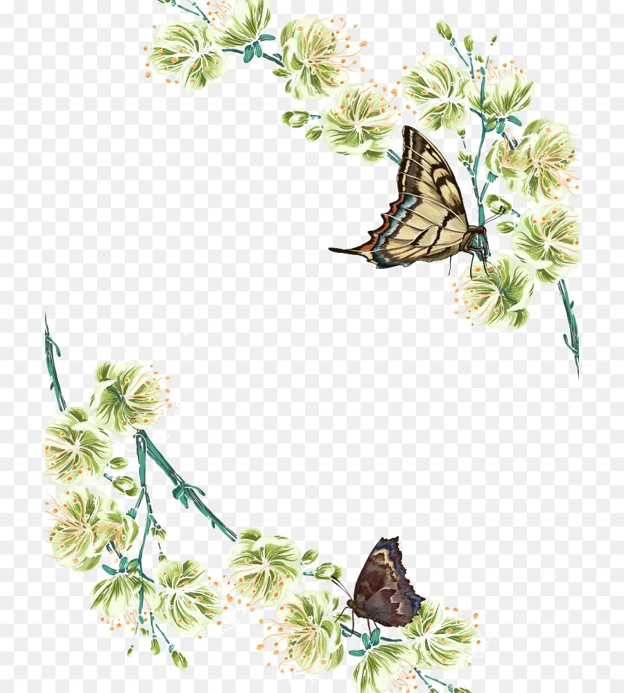 Papillon，Fleur PNG