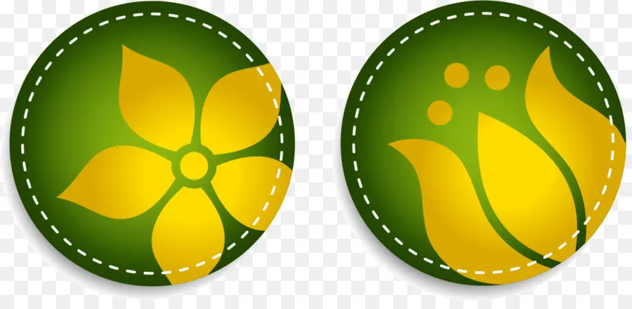 Fleur Jaune，Cercle Vert PNG