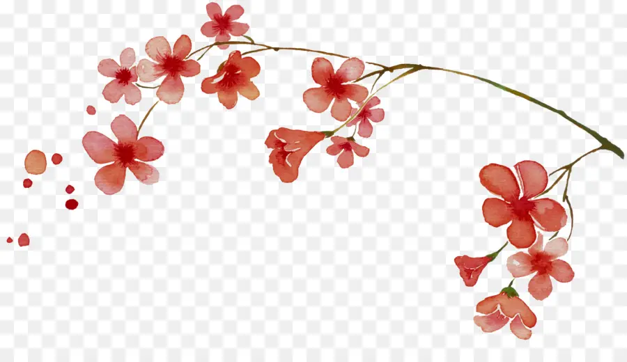 Fleur De Cerisier，Fleur De Prune PNG