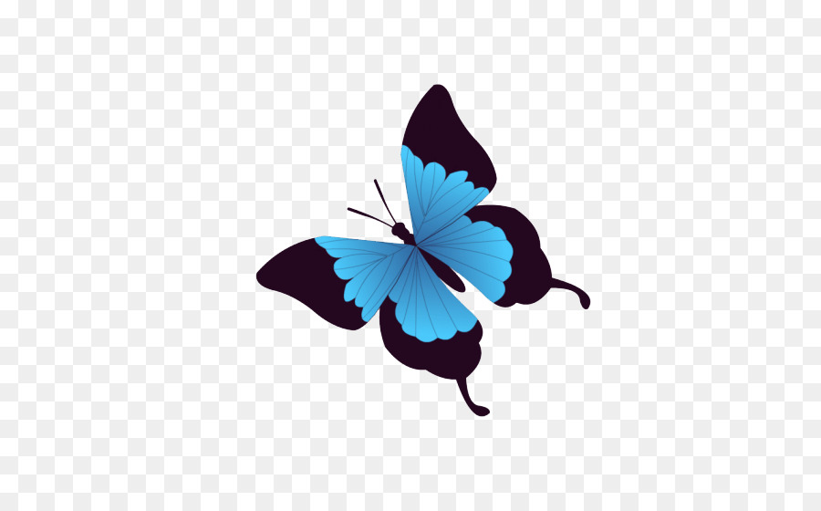 Papillon Bleu Et Noir，Bleu PNG