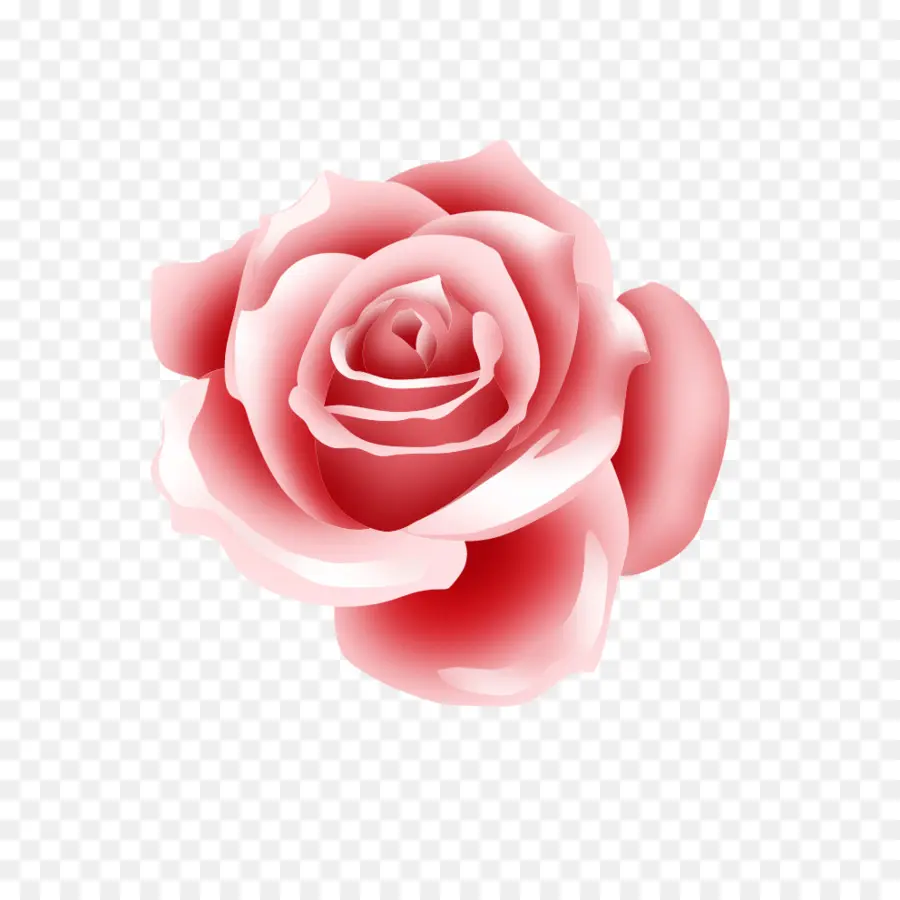 Les Roses De Jardin，Télécharger PNG