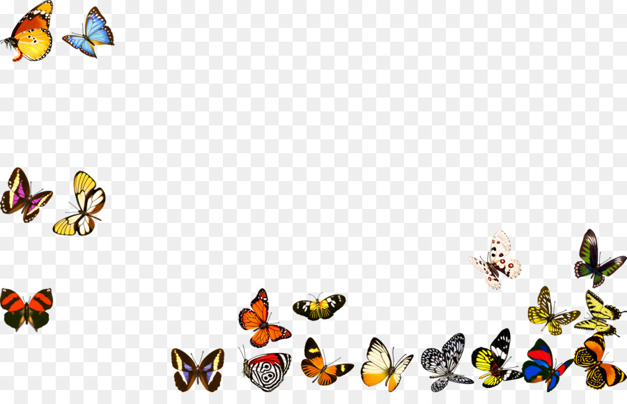 Papillons，Vol PNG