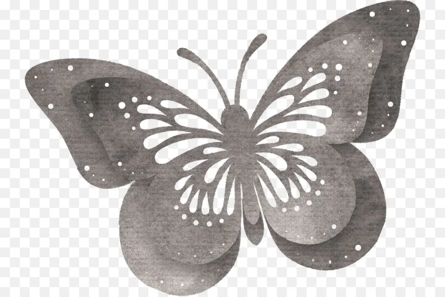 Papillon，Papillon Chien PNG