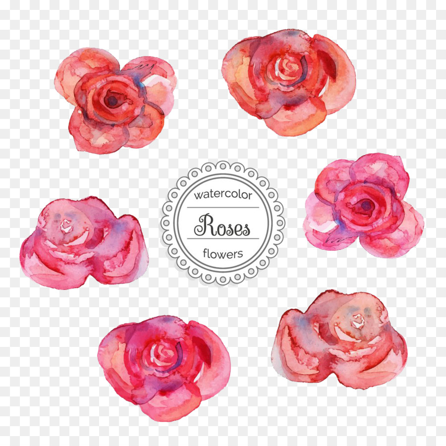 Roses Aquarelles，Fleurs PNG