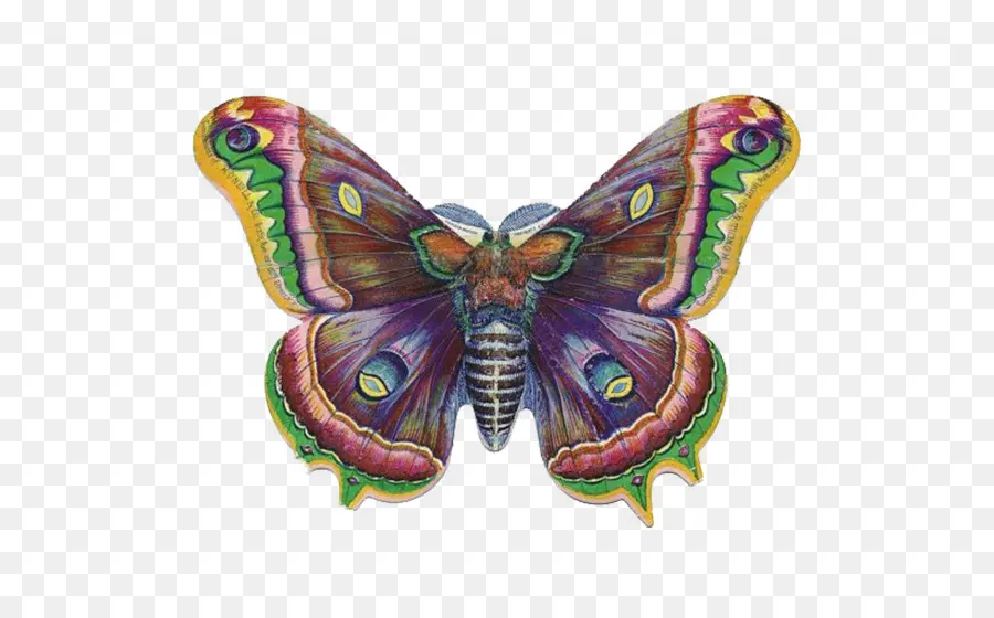 Papillon，De L ère Victorienne PNG