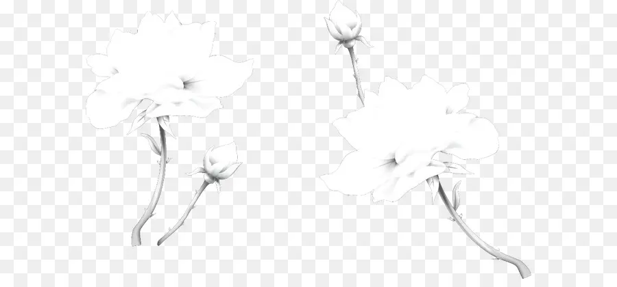 Fleurs Blanches，Fleurir PNG