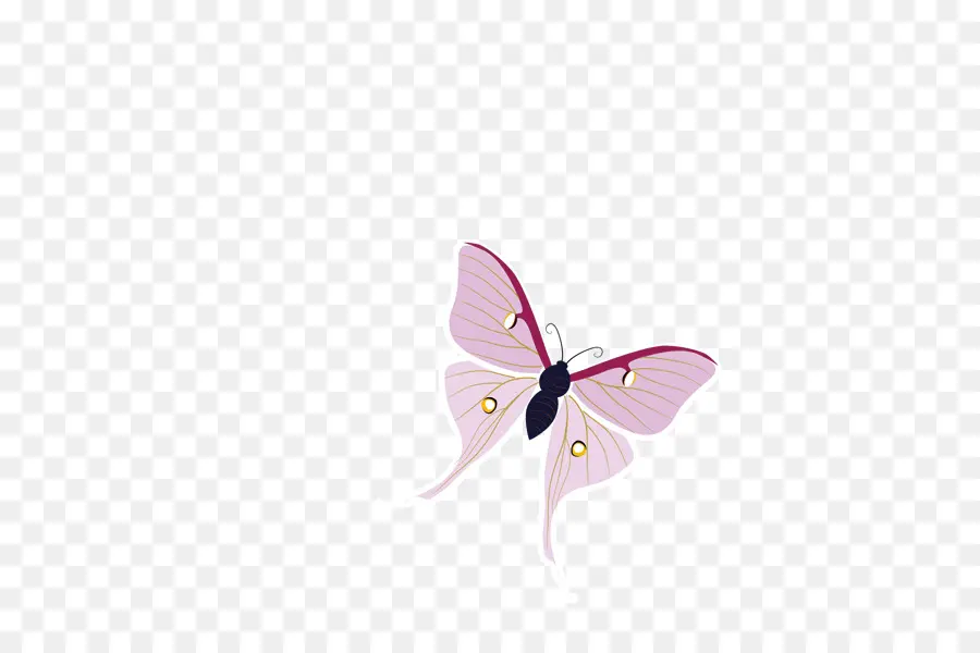 Papillon，Ailes PNG