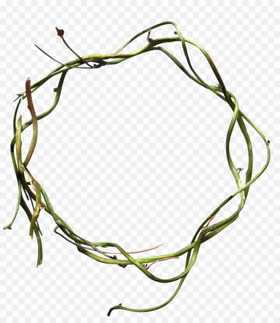 Couronne，Brindilles PNG