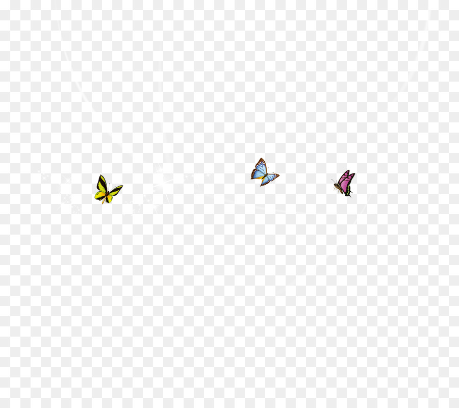 Papillons，Vol PNG