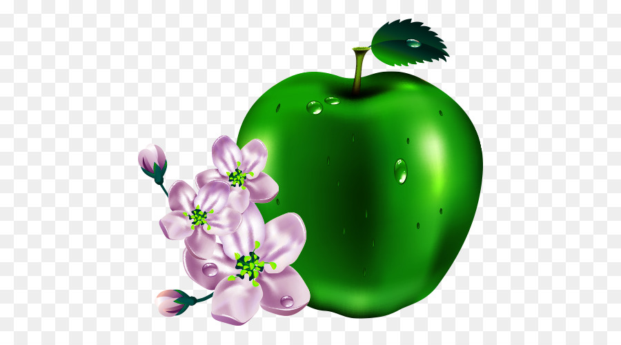 Pomme Rouge，Fleurir PNG