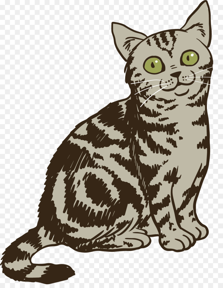 Chat，Animal De Compagnie PNG