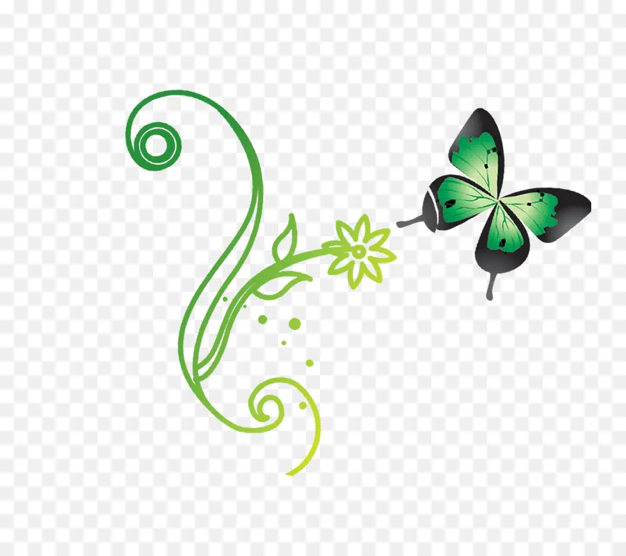 Papillon Vert，Fleur PNG