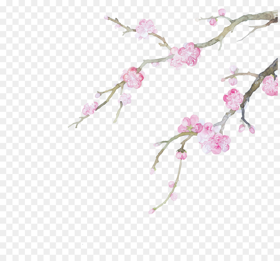 Coin Floral，Fleurs PNG