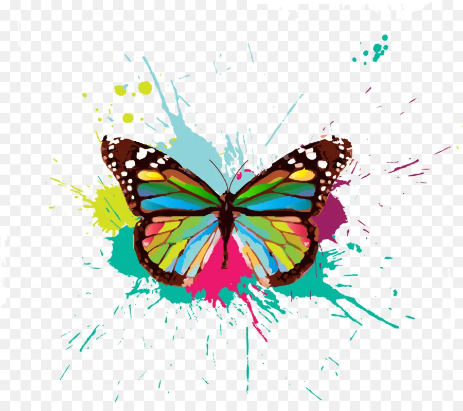 Papillon，Coloré PNG