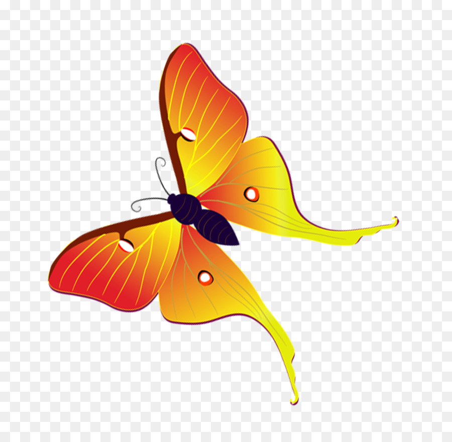 Papillon Jaune Bleu Rouge，Insecte PNG