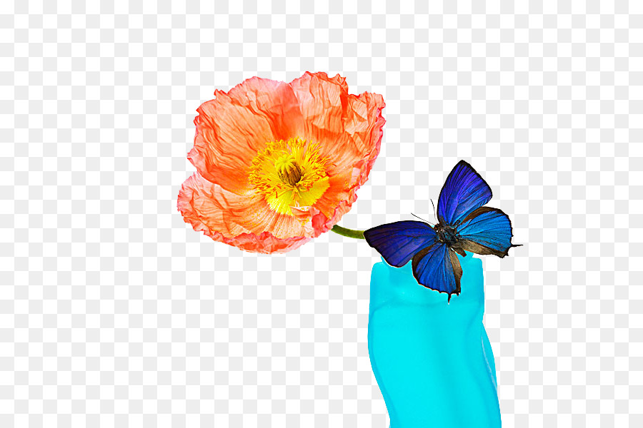 Papillon，Fleur PNG