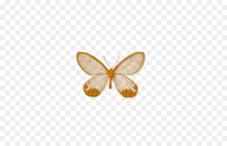 Papillon Jaune，Ailes PNG