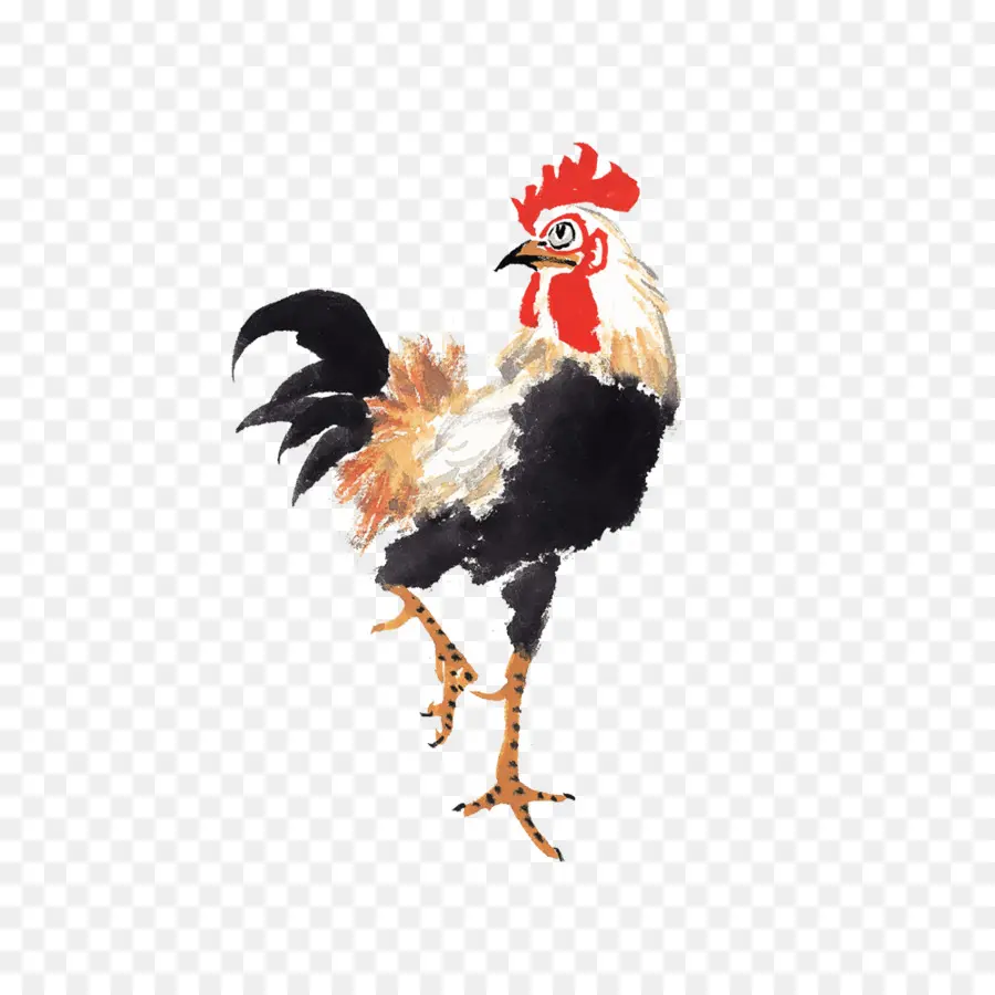 Poulet，Poule PNG