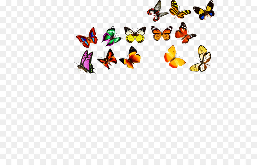 Papillon，Adobe Illustrator PNG