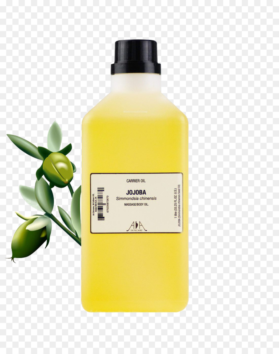 Huile De Jojoba，Jojoba PNG