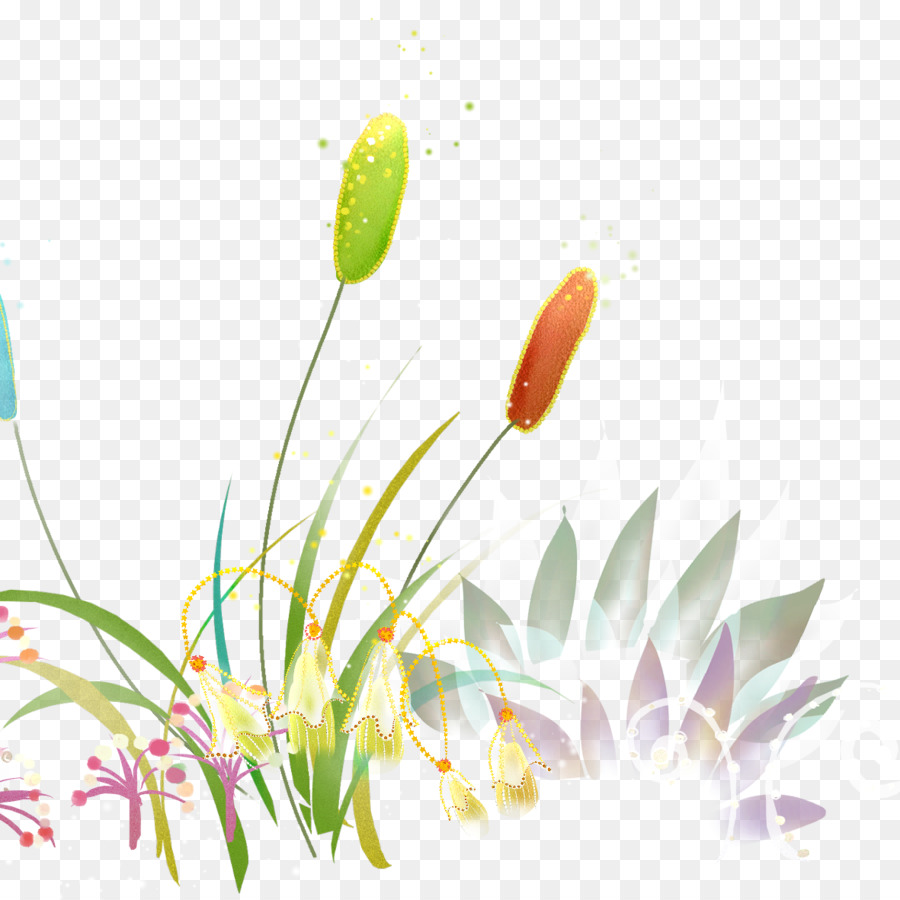 Fleurs Colorées，Jardin PNG