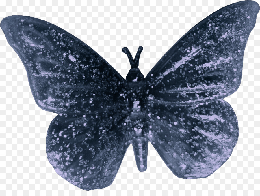 Papillon，Ailes PNG