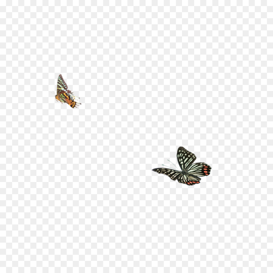 Papillons，Vol PNG