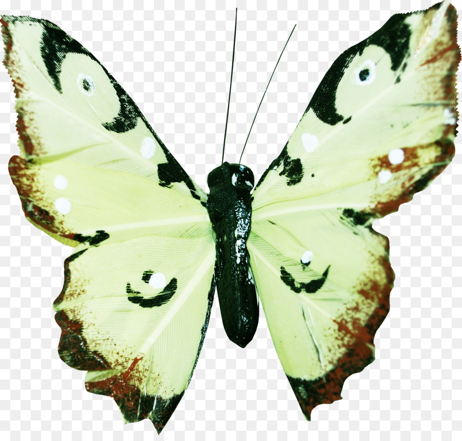 Papillon Rose，Insecte PNG