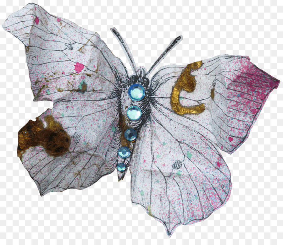 Papillon，Nymphalidae PNG