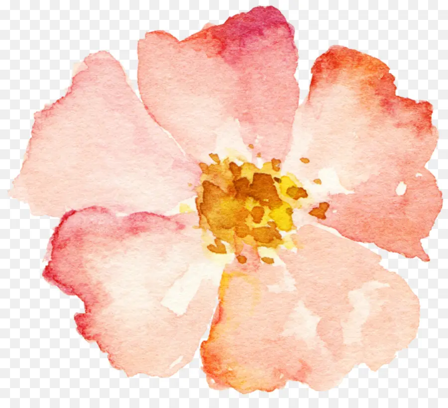 Fleur，Rose PNG