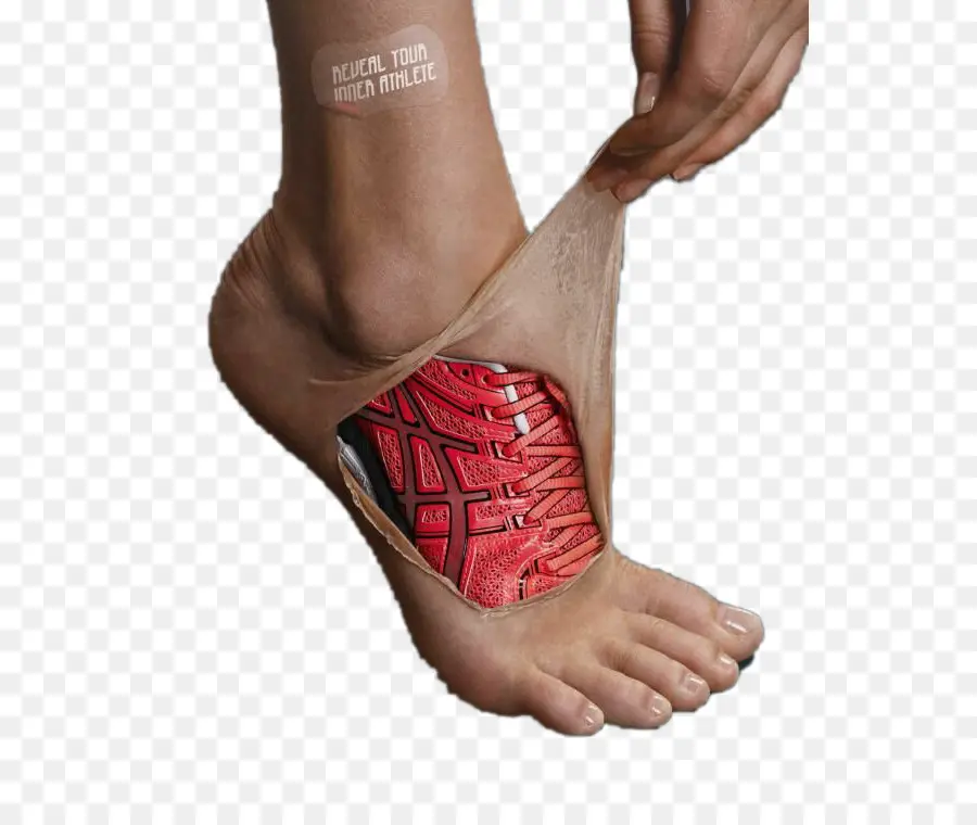 Pied Avec Chaussure，Chaussure PNG