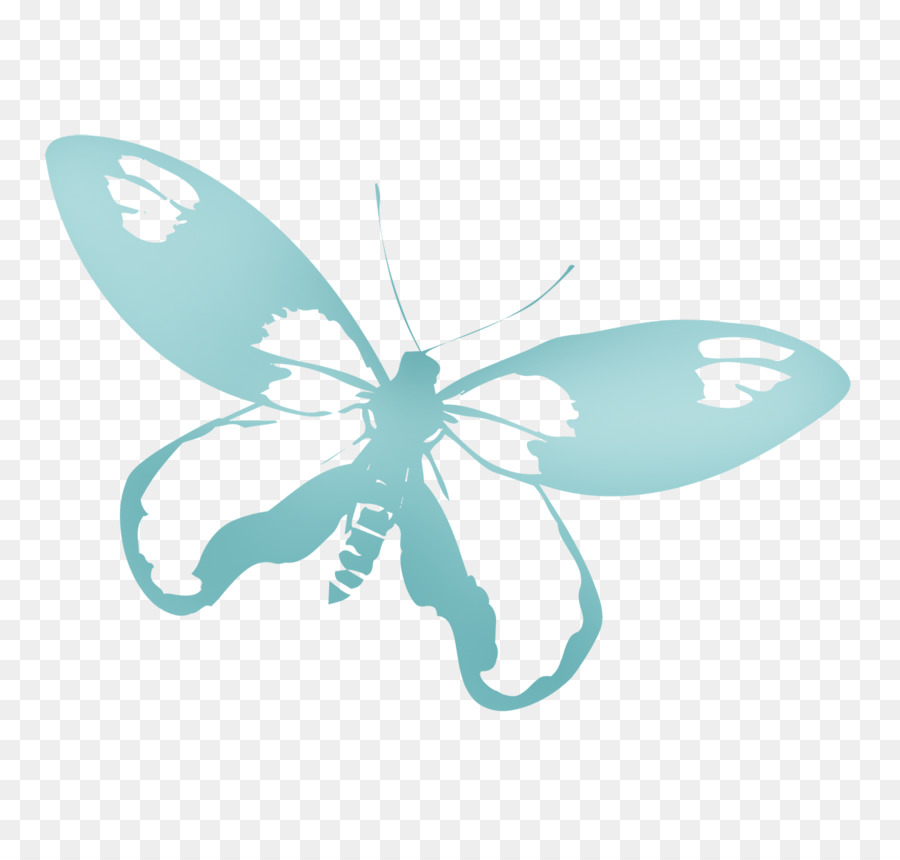 Papillon Bleu，Ailes PNG