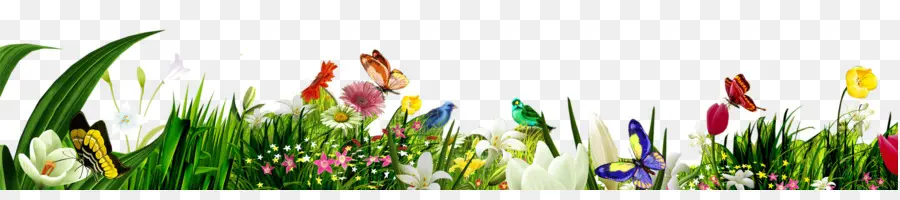 Papillons，Fleurs PNG