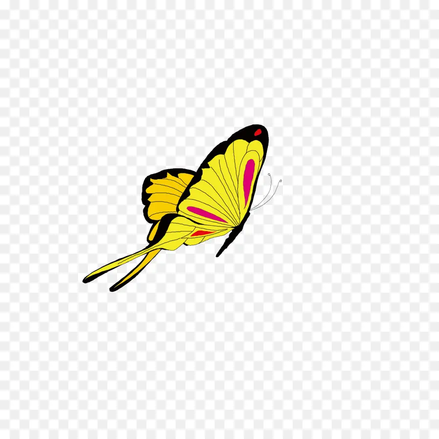 Papillon，Insecte PNG