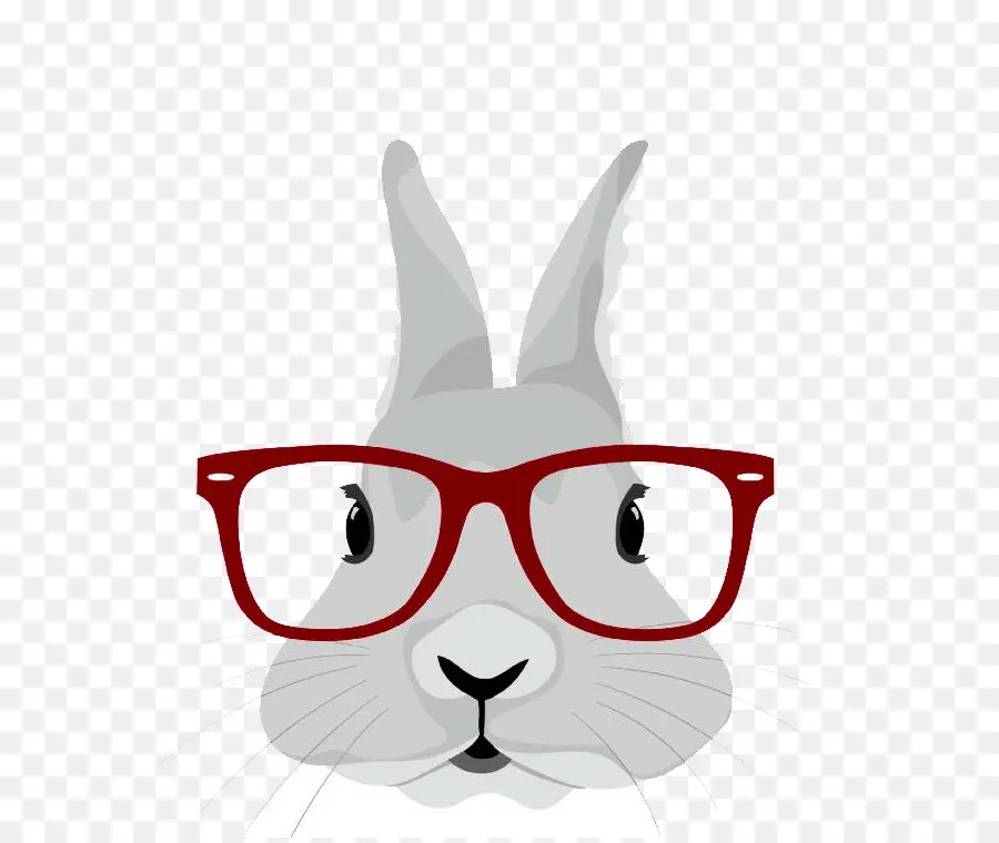 Lapin De Pâques，T Shirt PNG