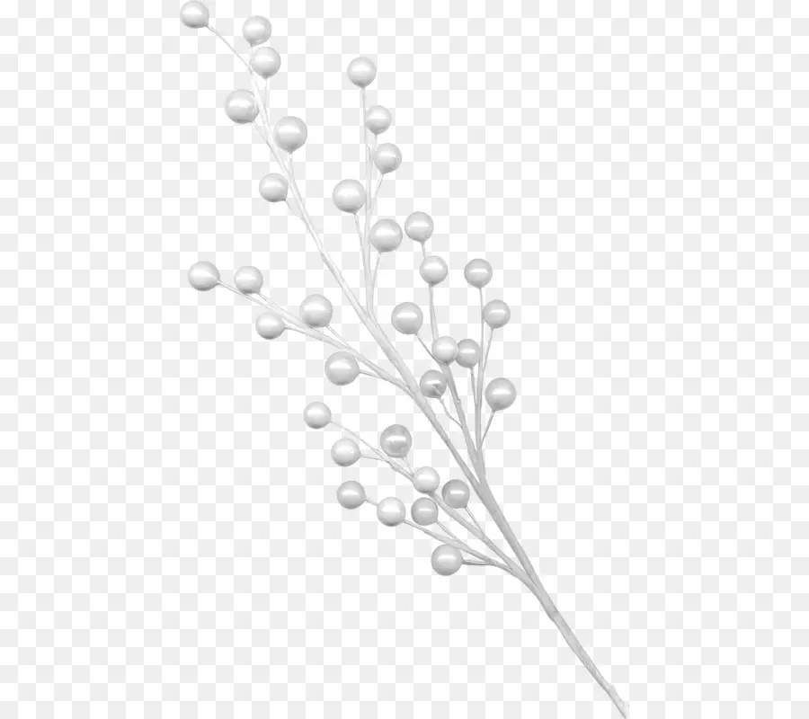 Branche Blanche Avec Boules，Blanc PNG