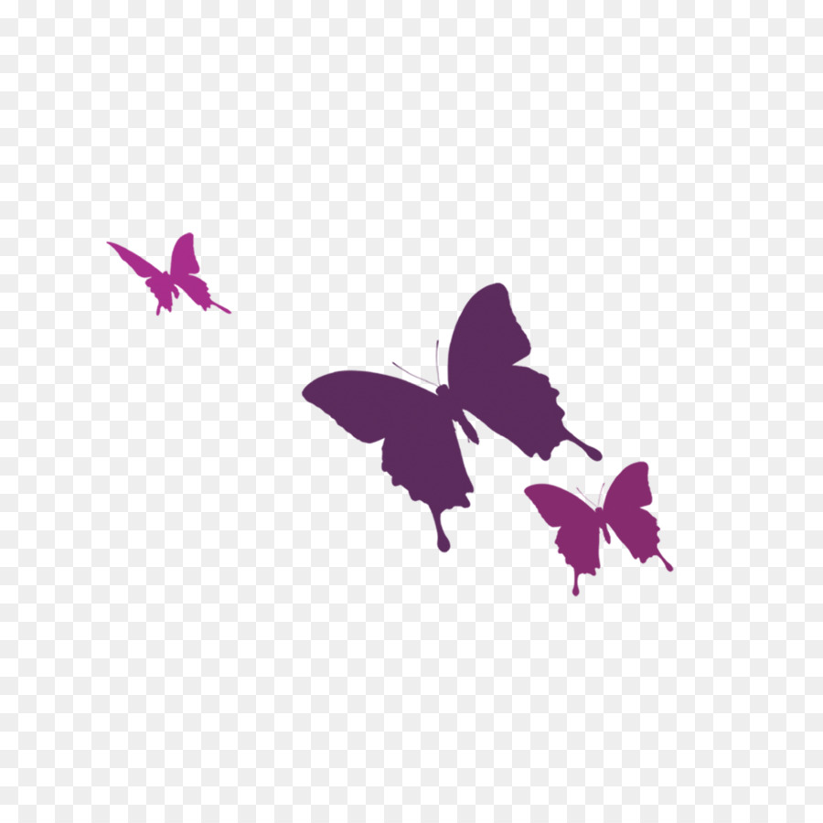 Papillon Violet，Insecte PNG