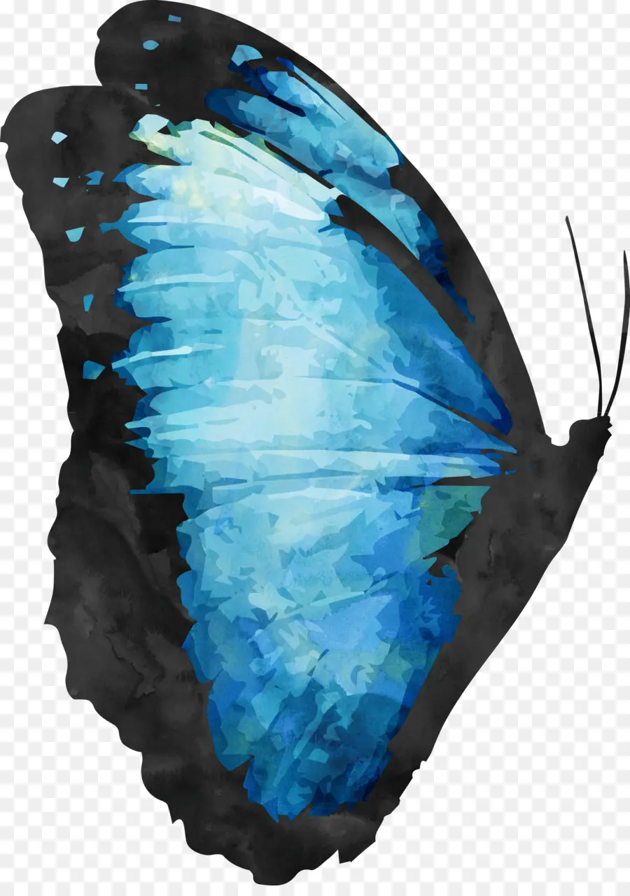 Papillon Bleu，Nature PNG