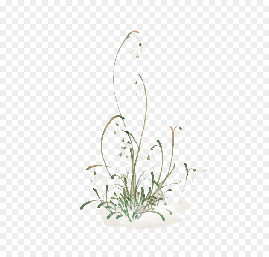 Fleurs，Plantes PNG