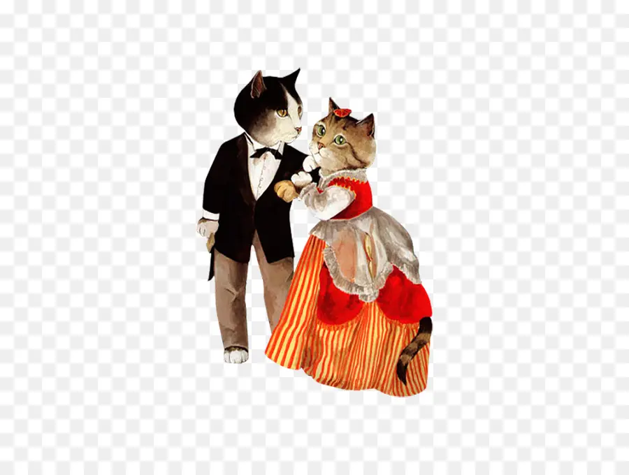 Chats Dans Les Vêtements，Animaux PNG