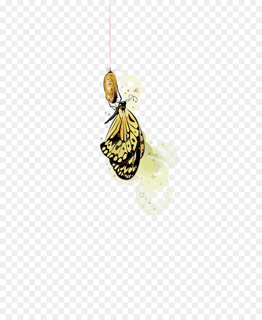 Papillon，Cocon PNG