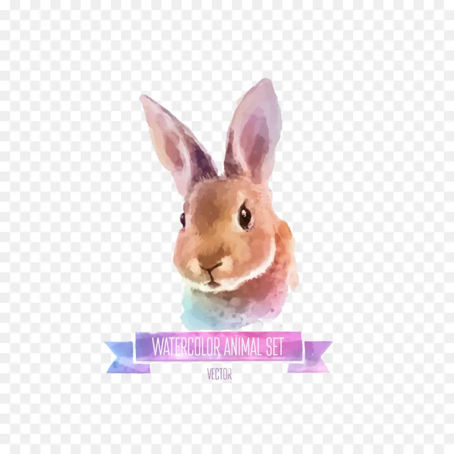 Lapin，Peinture à L Aquarelle PNG