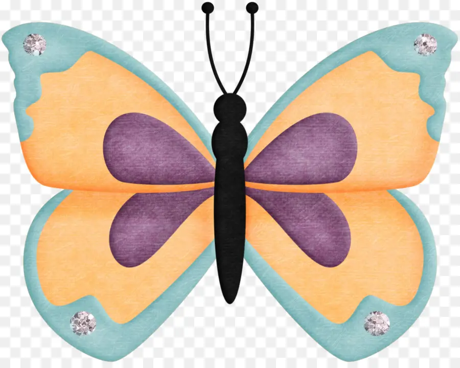 Papillon Coloré，Insecte PNG