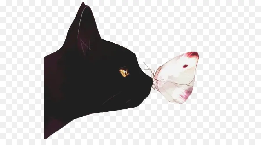 Chat Noir，Papillon PNG