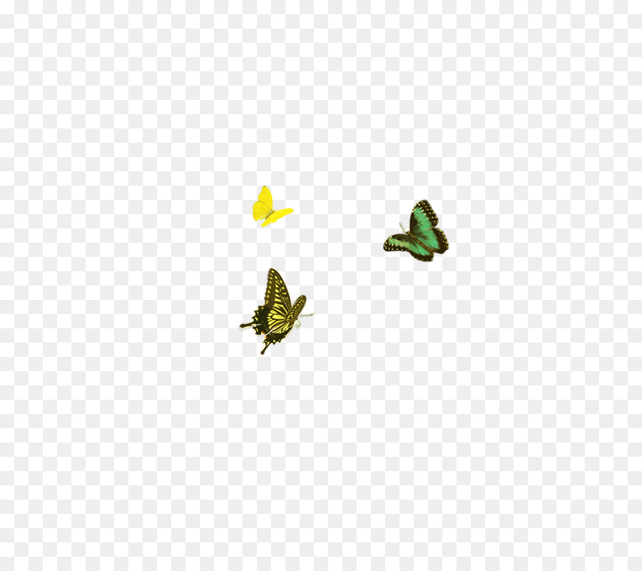 Papillons，Vol PNG