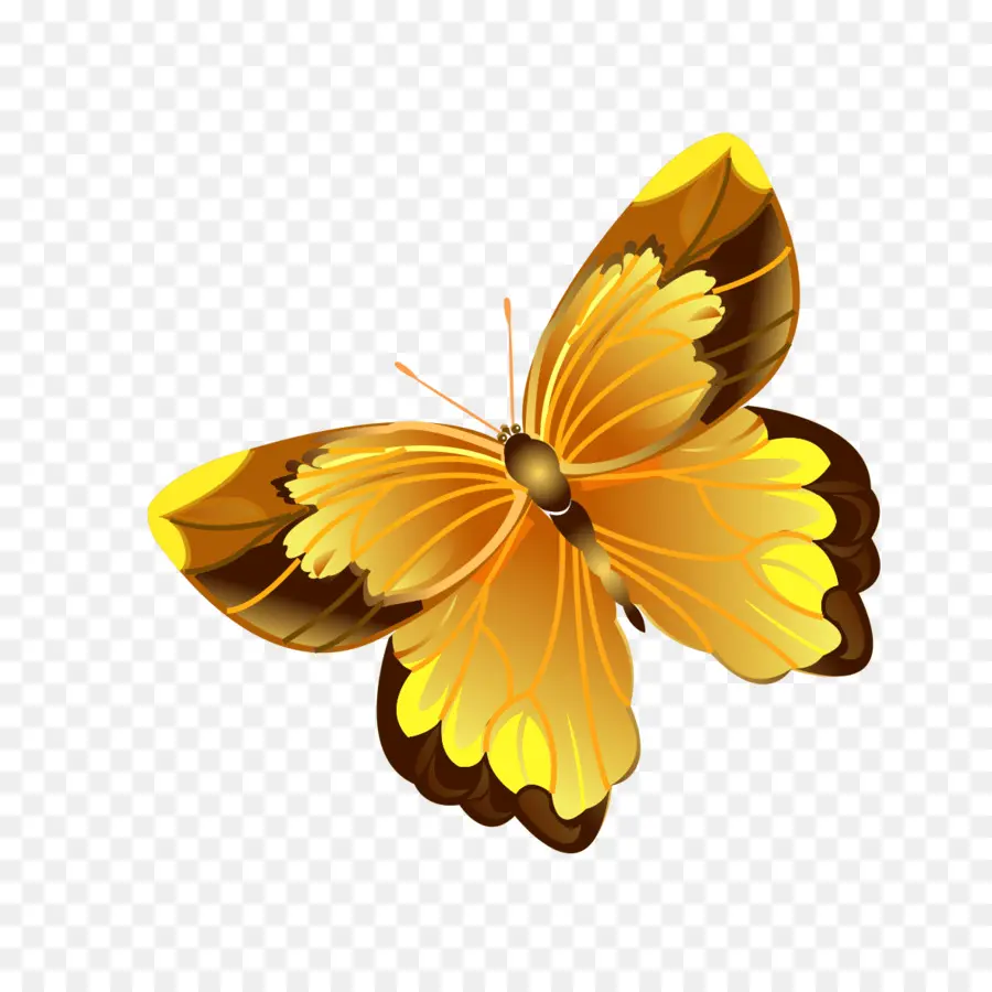 Papillon，Logiciel PNG