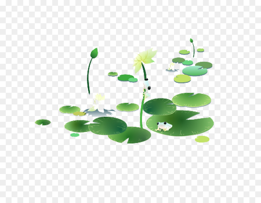 Plantes Vertes，Feuilles PNG